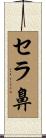 セラ鼻 Scroll