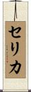 Celica Scroll