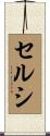 Celsi Scroll