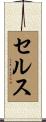 Sels Scroll