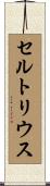 セルトリウス Scroll