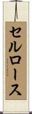 セルロース Scroll