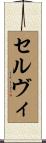 Selvi Scroll