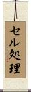 セル処理 Scroll