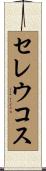 セレウコス Scroll