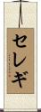 セレギ Scroll