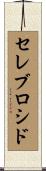 セレブロシド Scroll