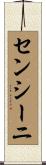 センシーニ Scroll