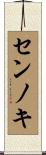センノキ Scroll