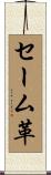 セーム革 Scroll