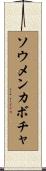 ソウメンカボチャ Scroll