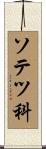 ソテツ科 Scroll