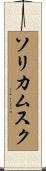 ソリカムスク Scroll