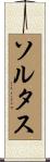 ソルタス Scroll