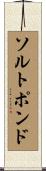ソルトポンド Scroll