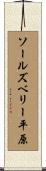 ソールズベリー平原 Scroll