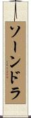 Saundra Scroll