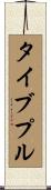 タイブプル Scroll