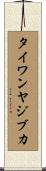 タイワンヤジブカ Scroll