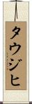 タウジヒ Scroll