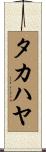 タカハヤ Scroll