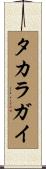 タカラガイ Scroll