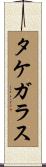 タケガラス Scroll