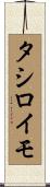 タシロイモ Scroll