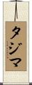 タジマ Scroll
