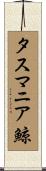 タスマニア鯨 Scroll