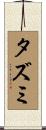 タズミ Scroll