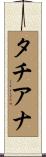 Tatiana Scroll
