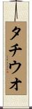 タチウオ Scroll