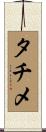 タチメ Scroll