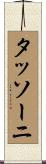 タッソーニ Scroll