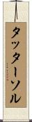 タッターソル Scroll