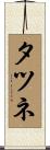 タツネ Scroll