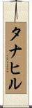 タナヒル Scroll