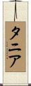 タニア Scroll