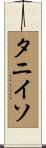 タニイソ Scroll