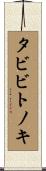 タビビトノキ Scroll