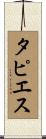 タピエス Scroll