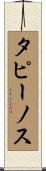 タピーノス Scroll