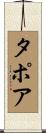 タポア Scroll