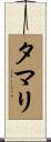 タマリ Scroll