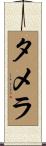 Tamera Scroll