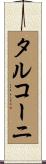 タルコーニ Scroll