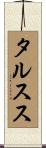 タルスス Scroll