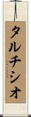 タルチシオ Scroll