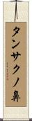 タンサクノ鼻 Scroll